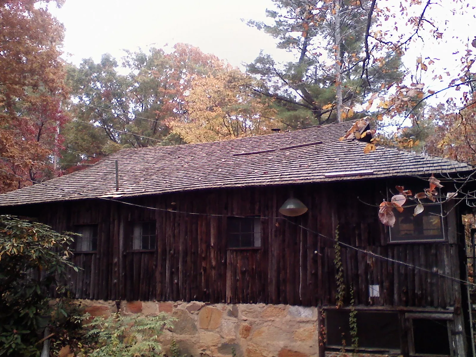 Weathered wood shake roof on a rustic board sided cabin in Byron